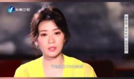 贾静雯 前夫爆料视频,揭秘婚姻内幕与情感纠葛