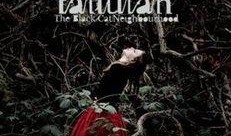 blackcat 在线观看,在线观看的悬疑惊悚之旅